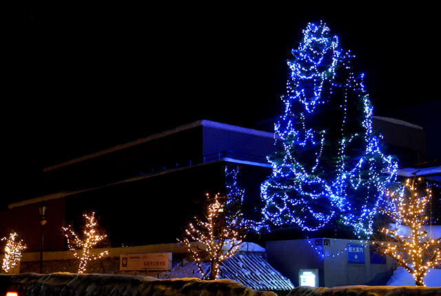 2025-2026弘前エレクトリカルファンタジー(冬に咲くさくらライトアップ